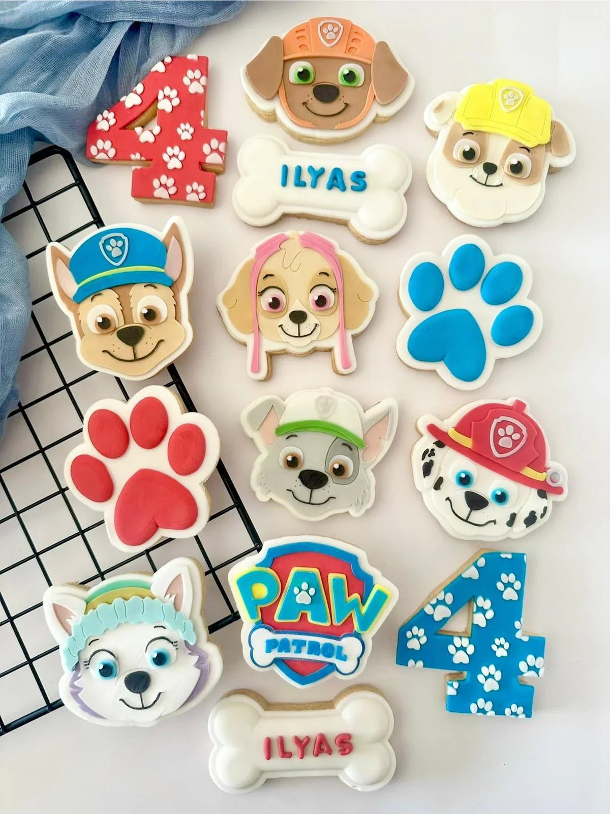 PAW PATROL