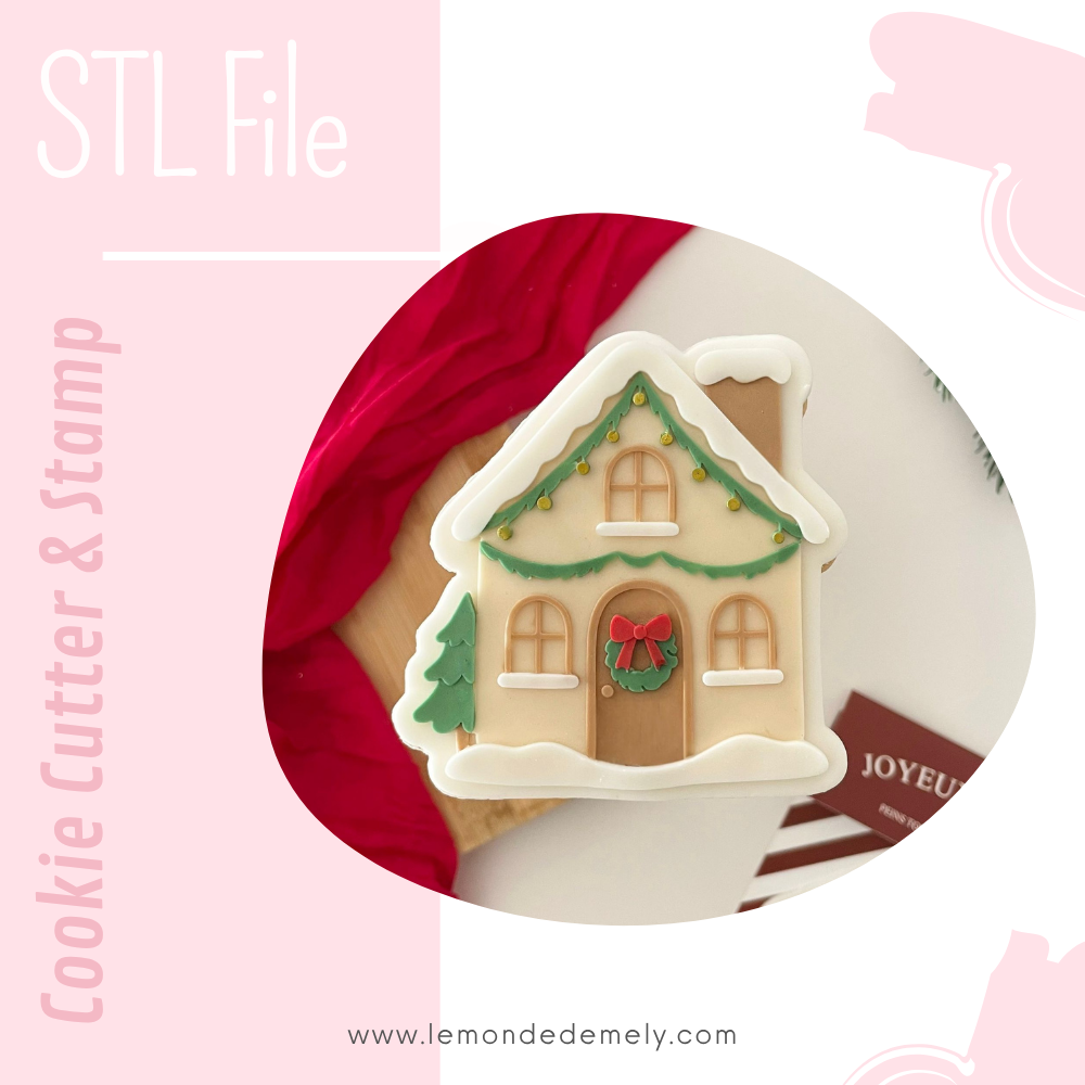 #1022 - Christmas House