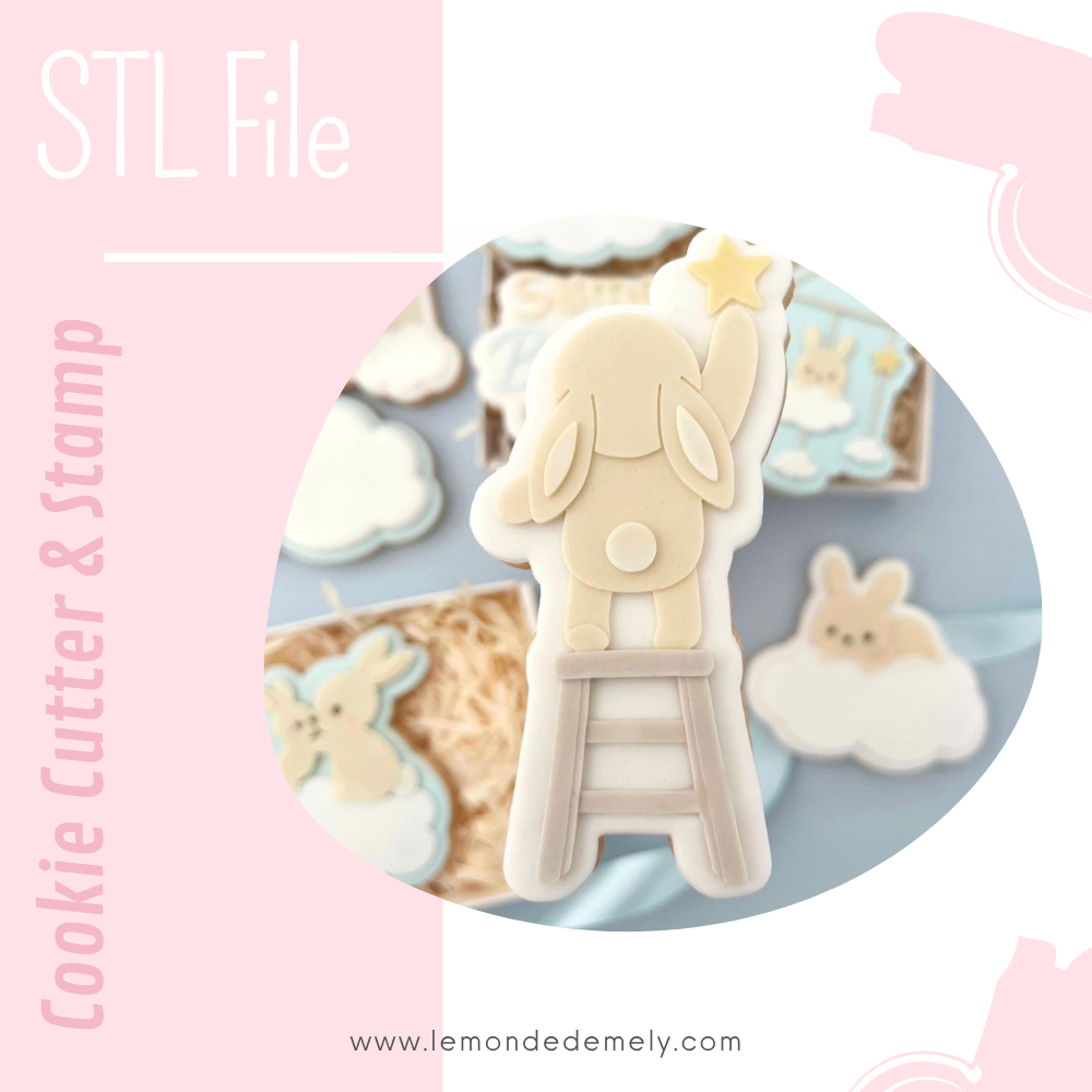 #520 - Bunny with star