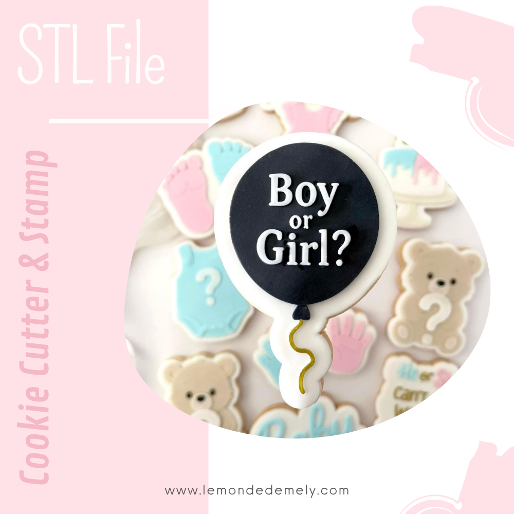 #587 - Girl or Boy Balloon