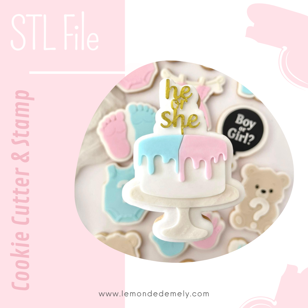 #588 - He or She Cake