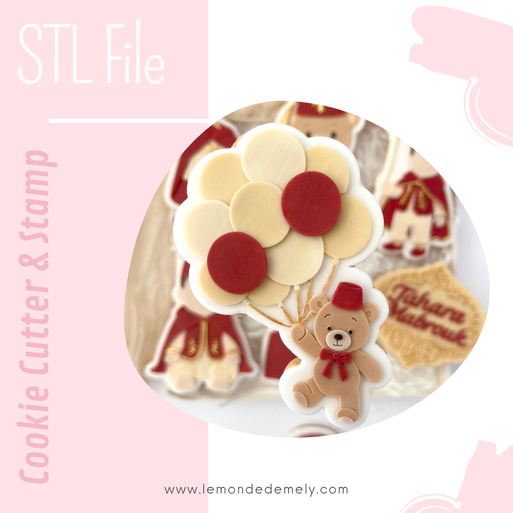 #608 - Tahara Teddy with balloon bunch