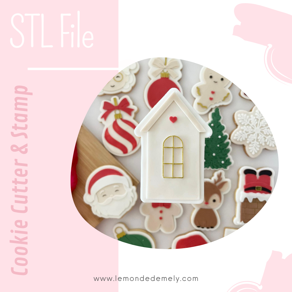 #868 - Christmas House