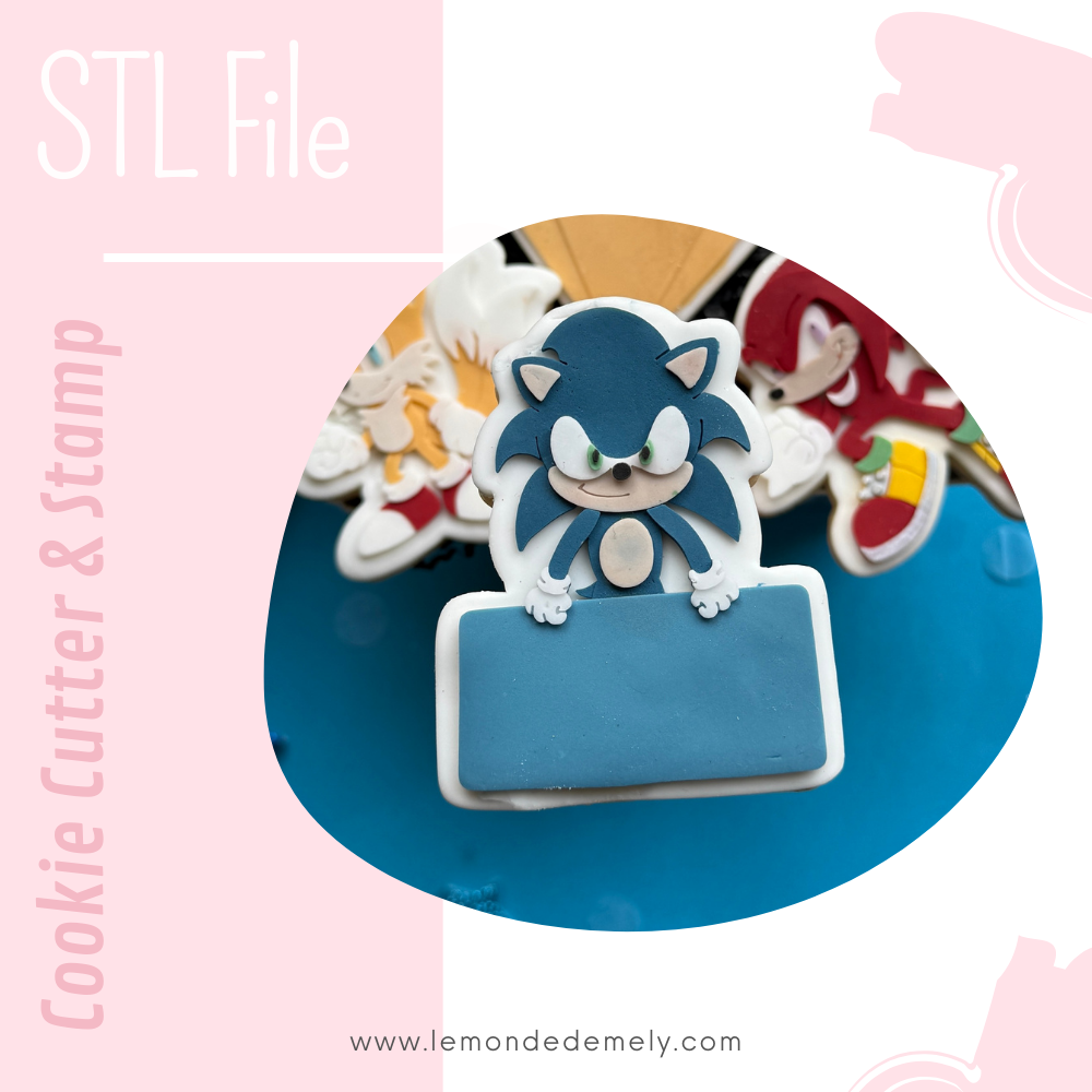 #1100 - Sonic with Nameboard