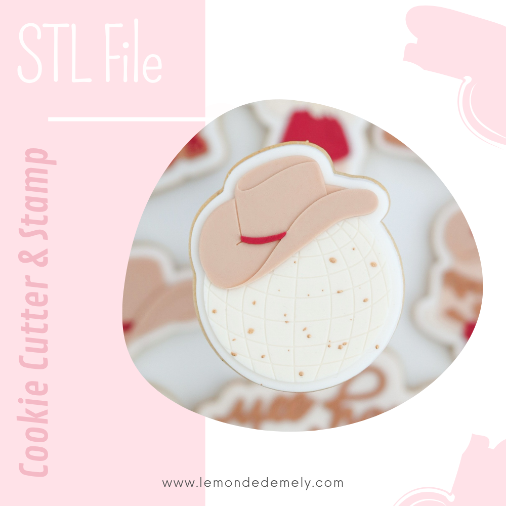 #727 - Disco Ball with hat